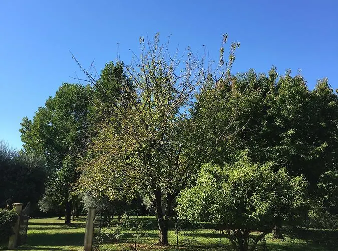 Le Tre Querce Frühstückspension