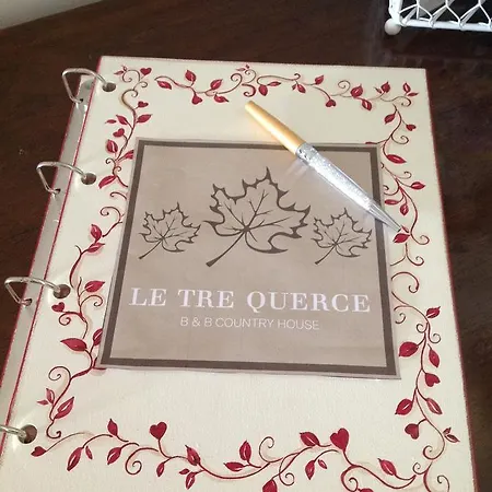 住宿加早餐酒店 Le Tre Querce 罗马诺德恩佐利诺